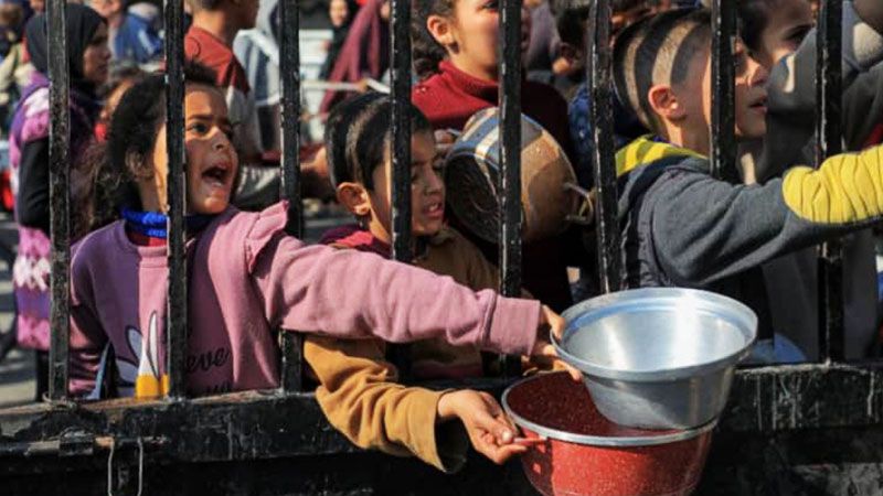 نصف سكان غزة يعانون الجوع